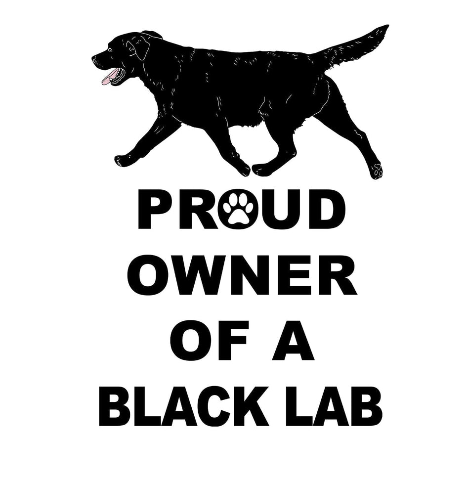 Black Labrador Retriever Proud Owner - Women's V-Neck T-Shirt