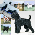 Black Russian Terrier Scenic Square Coaster