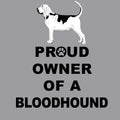 Bloodhound Proud Owner - Women's V-Neck T-Shirt