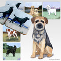 Border Terrier Scenic Square Coaster