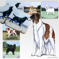 Borzoi Scenic Square Coaster