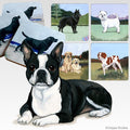 Boston Terrier Scenic Square Coaster