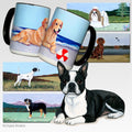 Boston Terrier Scenic Mug