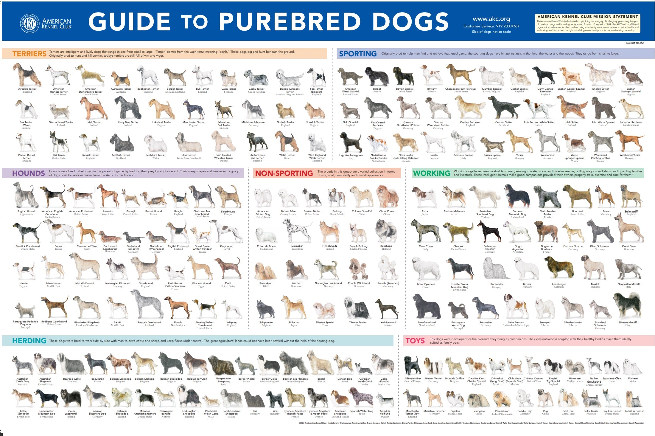 Akc working group store breeds