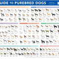 AKC Breeds Poster