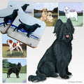 Briard Scenic Square Coaster