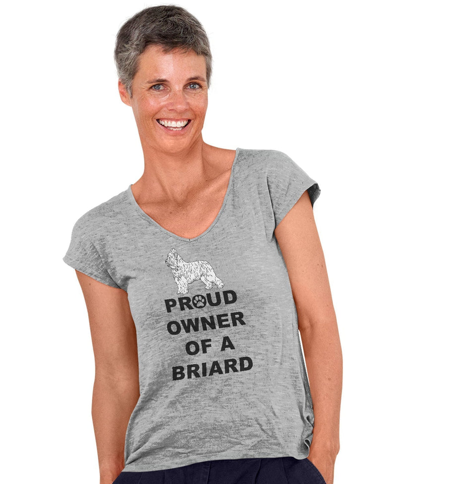 Briard Proud Owner - Women's V-Neck T-Shirt
