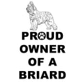 Briard Proud Owner - Women's V-Neck T-Shirt