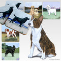 Bull Terrier Scenic Square Coaster