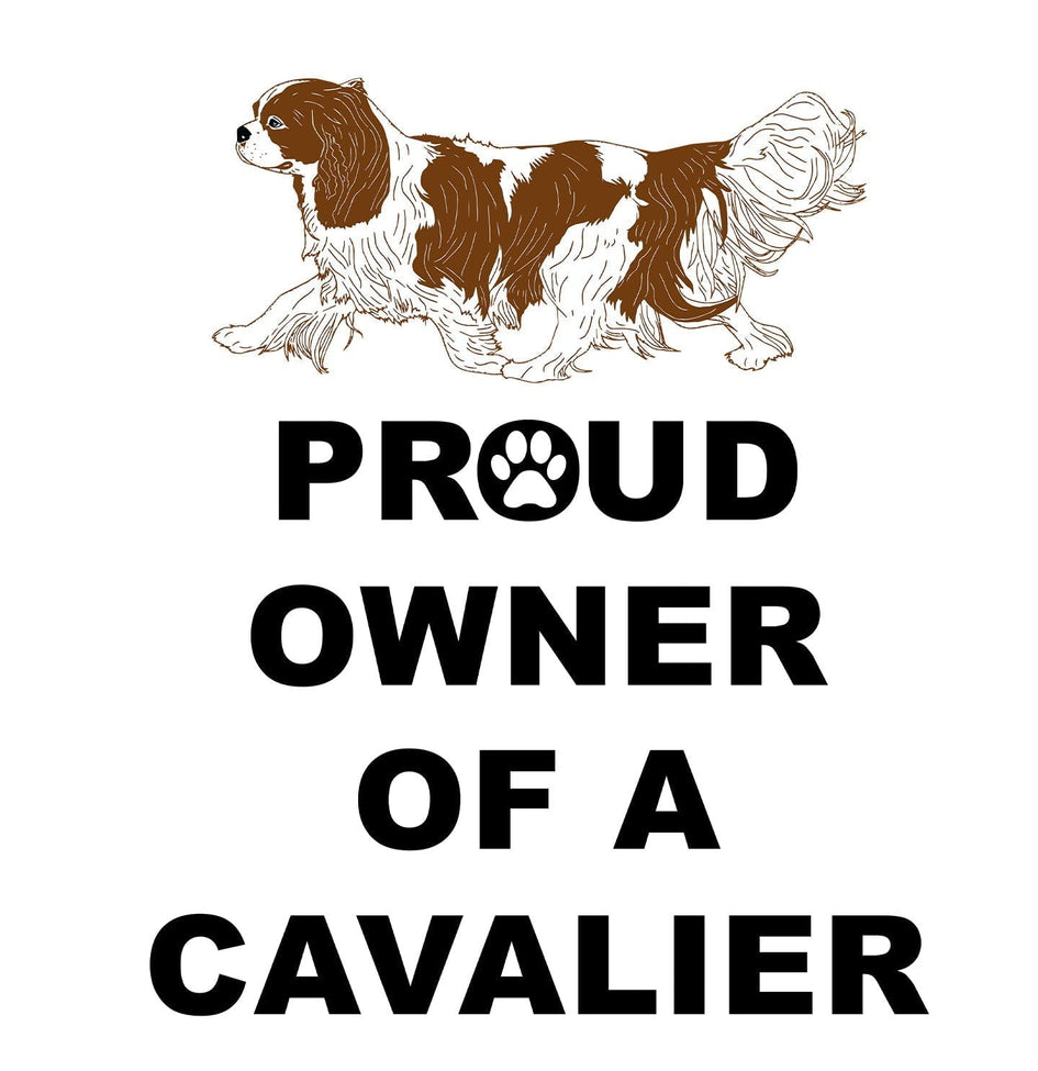 Cavalier King Charles Spaniel Proud Owner - Women's V-Neck T-Shirt