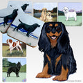 Cavalier King Charles Spaniel Scenic Square Coaster