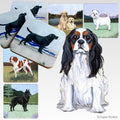 Cavalier King Charles Spaniel Scenic Square Coaster