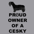 Cesky Terrier Proud Owner - Women's V-Neck T-Shirt
