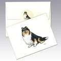 Collie, Tri Color Note Cards
