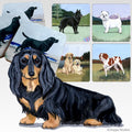 Dachshund  Scenic Square Coaster