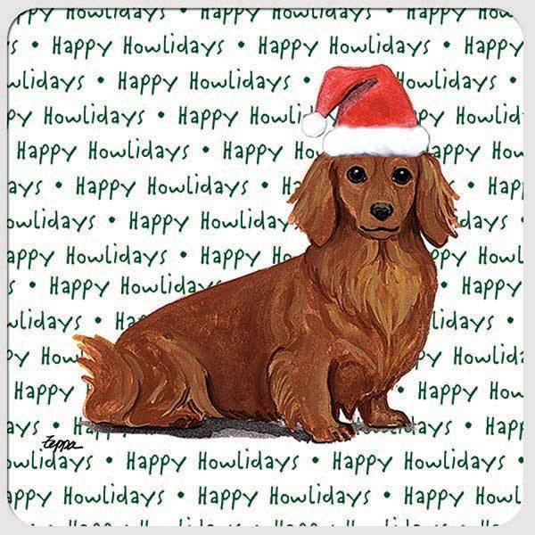 Dachshund, Red Long Hair 