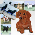 Dachshund  Scenic Square Coaster