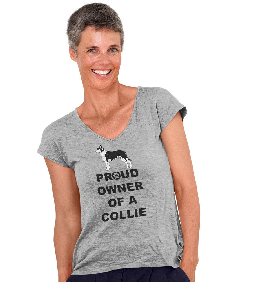 Collie Proud Owner - Women's V-Neck T-Shirt