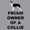Collie Proud Owner - Women's V-Neck T-Shirt