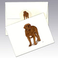 Dogue Du Bordeaux Note Cards
