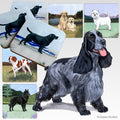English Cocker Spaniel Scenic Square Coaster