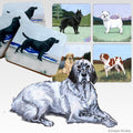 English Setter Scenic Square Coaster