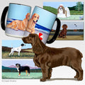 Field Spaniel Scenic Mug