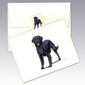 Flat Coated Retriever Note Cards