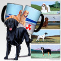 Flat-Coated Retriever Scenic Mug