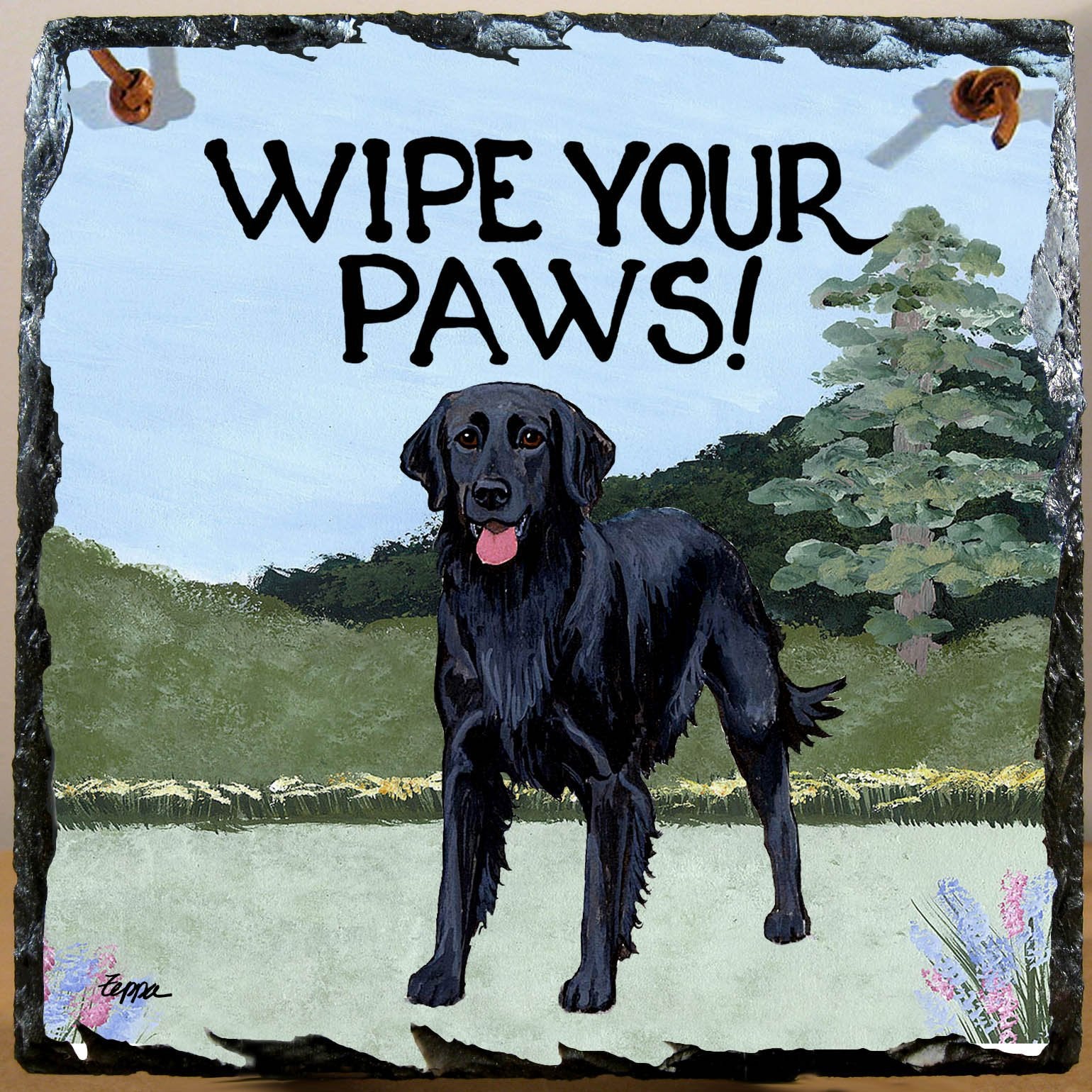 Akc flat coated retriever sale