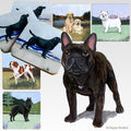 French Bulldog Scenic Square Coaster