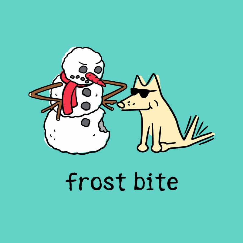 Frost Bite  - Ladies T-Shirt V-Neck