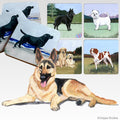 German Shepherd Dog Scenic Square Coaster