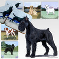 Giant Schnauzer Scenic Square Coaster