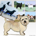 Glen of Imaal Terrier Scenic Square Coaster