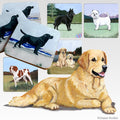 Golden Retriever Scenic Square Coaster