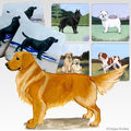 Golden Retriever Scenic Square Coaster