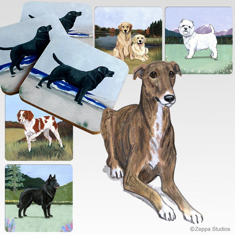 Greyhound Scenic Coaster