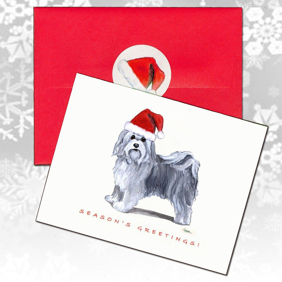 Havanese Christmas Note Cards