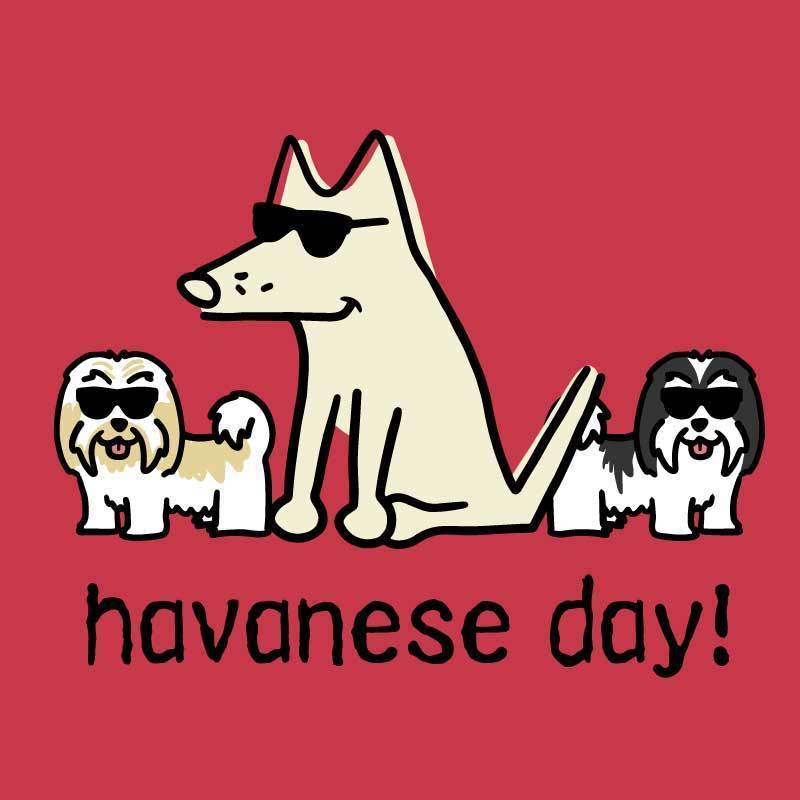 Havanese Day! - Classic Tee