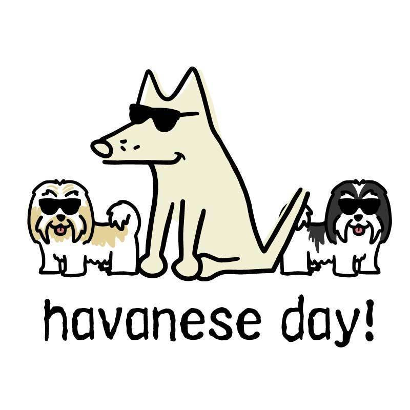 Havanese Day!  - Coffee Mug