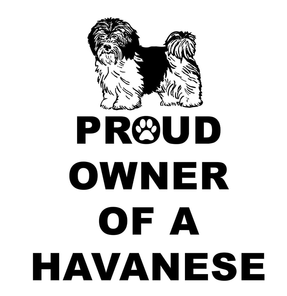 Havanese Proud Owner - Women's V-Neck T-Shirt