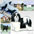 Havanese Scenic Square Coaster