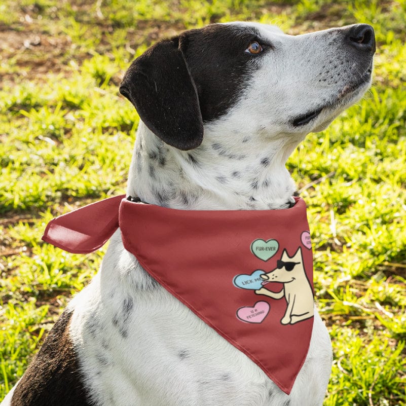 Hey Sweetheart - Doggie Bandana