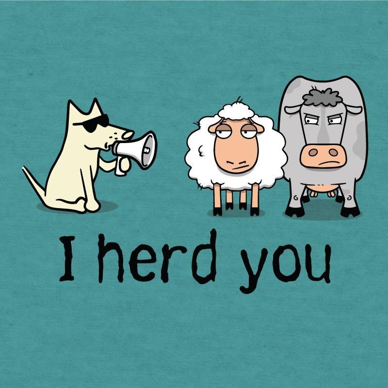 i herd you lightweight t-shirt
