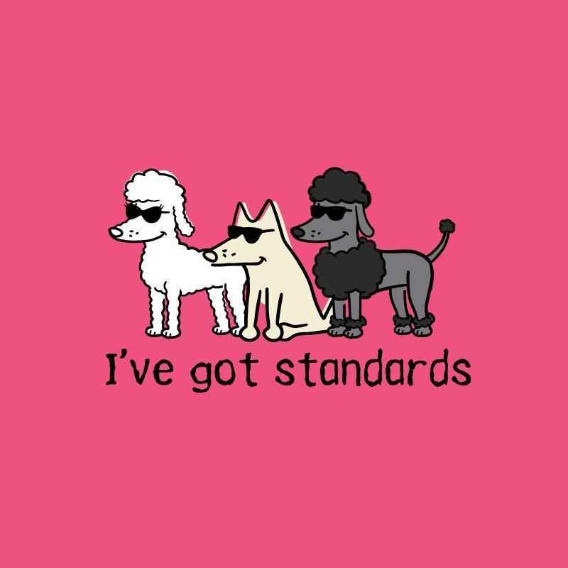 I've Got Standards - Ladies Plus V-Neck Tee