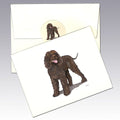 Irish Water Spaniel Note Cards