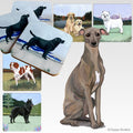 Italian Greyhound Scenic Square Coaster