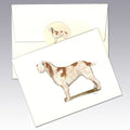Italian Spinone, Orange Note Cards