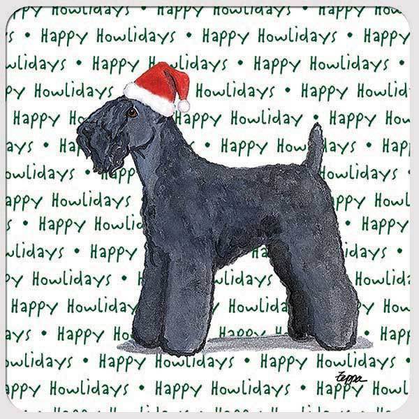 Kerry Blue Terrier 